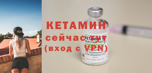 трава Пересвет