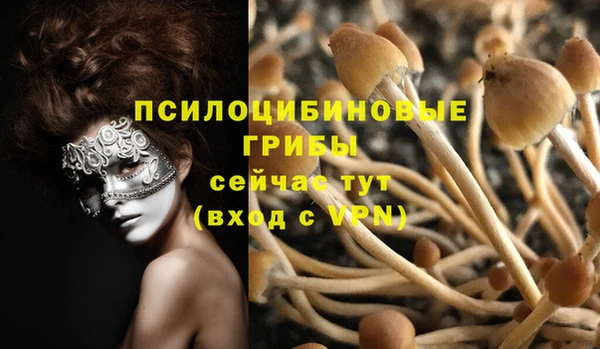 PSILOCYBIN Беломорск