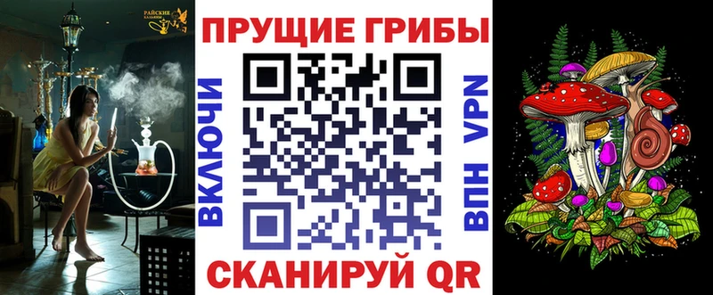 что такое Котельники Псилоцибиновые грибы мицелий